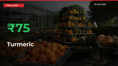 Why Turmeric Prices Rose 74.58% in a Day at Mandis