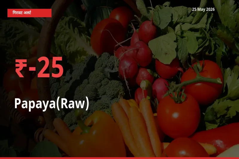 25 May अपडेट: पपीता (कच्चा) के दाम मंडी में 24.73% गिरे
