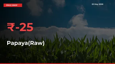 This Mandi Records 24.73% Fall in Papaya(Raw) Prices