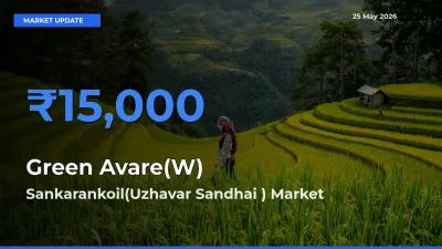 Sankarankoil(Uzhavar Sandhai ) Emerges as Top Mandi for Green Avare(W) Prices Today