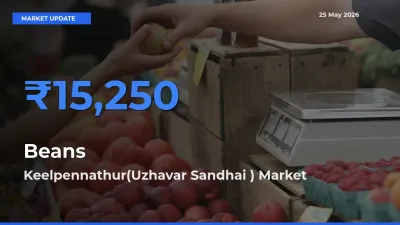 Farmers Prefer Keelpennathur(Uzhavar Sandhai ) as Beans Hits Highest Rate