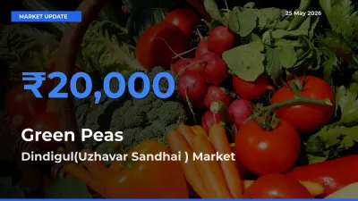 Farmers Prefer Dindigul(Uzhavar Sandhai ) as Green Peas Hits Highest Rate
