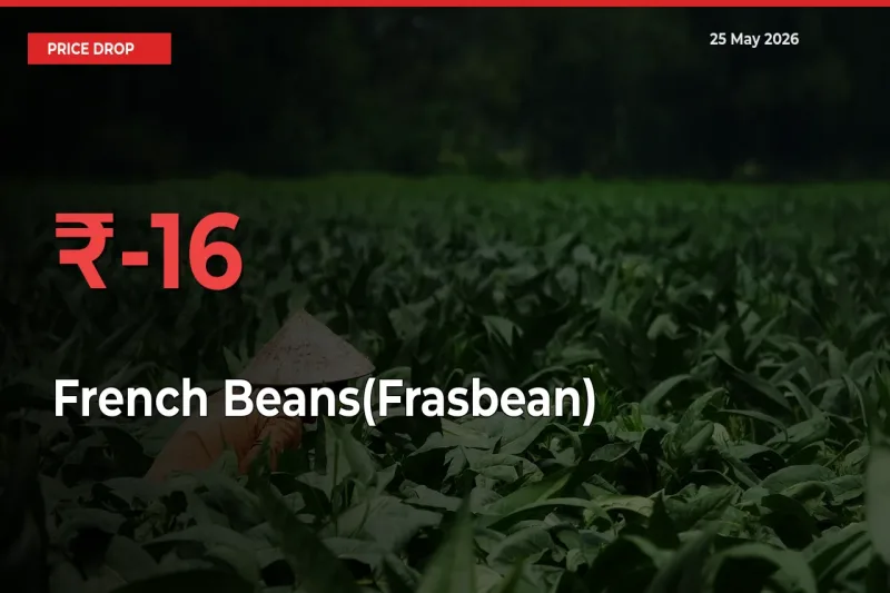 French Beans(Frasbean) Prices Drop 16.28% – May 25 Market Update from Mandis