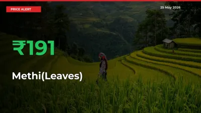 Methi(Leaves) Prices Rise 191.28% in a Day at Major Mandis