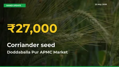 Corriander seed Prices Soar to Record High in Doddaballa Pur APMC – Farmers Alert Today