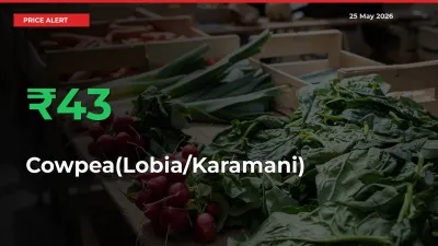 This Mandi Records 43.03% Jump in Cowpea(Lobia/Karamani) Prices