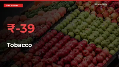 Sudden Shock! Tobacco Drops 39.44% in 24 Hours at Top Mandis