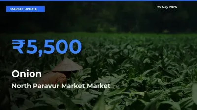 Onion Mandi Rate Today: North Paravur Market Tops the List