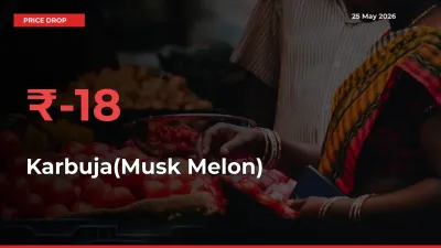 This Mandi Records 17.71% Fall in Karbuja(Musk Melon) Prices