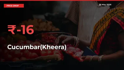 Cucumbar(Kheera) Prices Drop 16.33% – May 25 Market Update from Mandis
