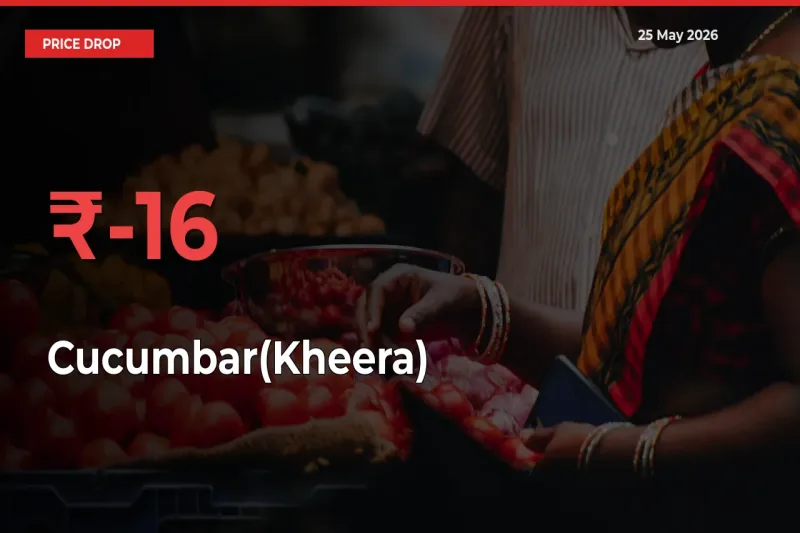Cucumbar(Kheera) Prices Drop 16.33% – May 25 Market Update from Mandis