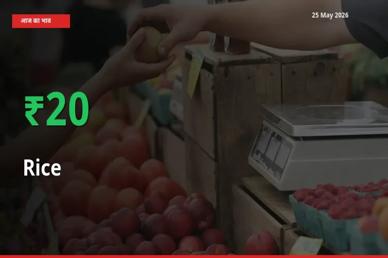 चावल 20.04% उछला, मंडी