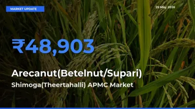 Arecanut(Betelnut/Supari) Mandi Rate Today: Shimoga(Theertahalli) APMC Tops the List