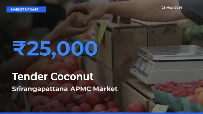 Farmers Prefer Srirangapattana APMC as Tender Coconut Hits Highest Rate