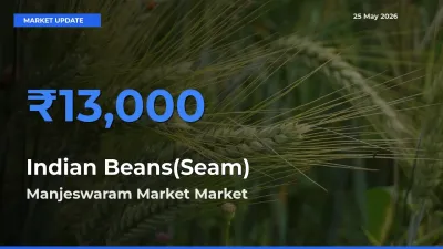Indian Beans(Seam) Mandi Rate Today: Manjeswaram Market Tops the List