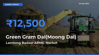Lamlong Bazaar APMC Emerges as Top Mandi for Green Gram Dal(Moong Dal) Prices Today