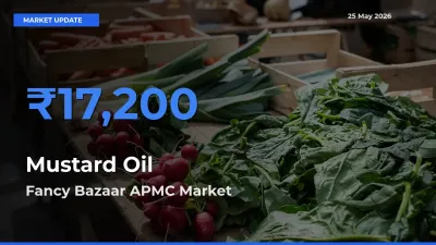 Fancy Bazaar APMC Tops Mustard Oil Mandi Rates Today