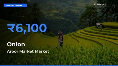 Aroor Market Tops Onion Mandi Rates Today