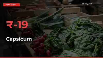 Capsicum Prices Drop 18.59% – May 25 Market Update from Mandis