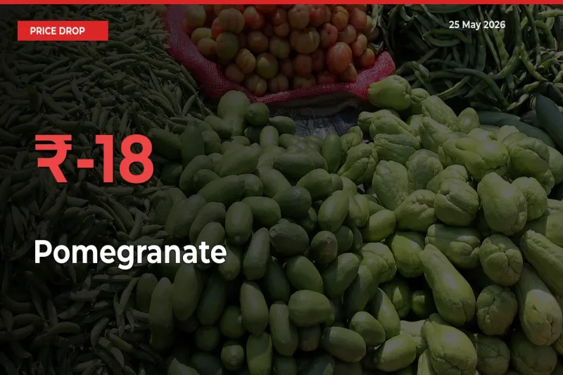 Why Pomegranate Prices Fell 17.98% in a Day at Mandis