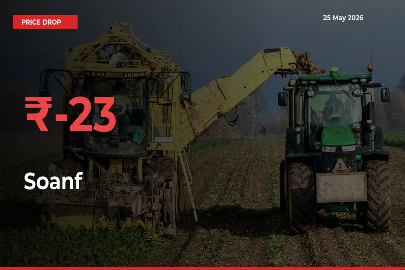 This Mandi Records 22.51% Fall in Soanf Prices
