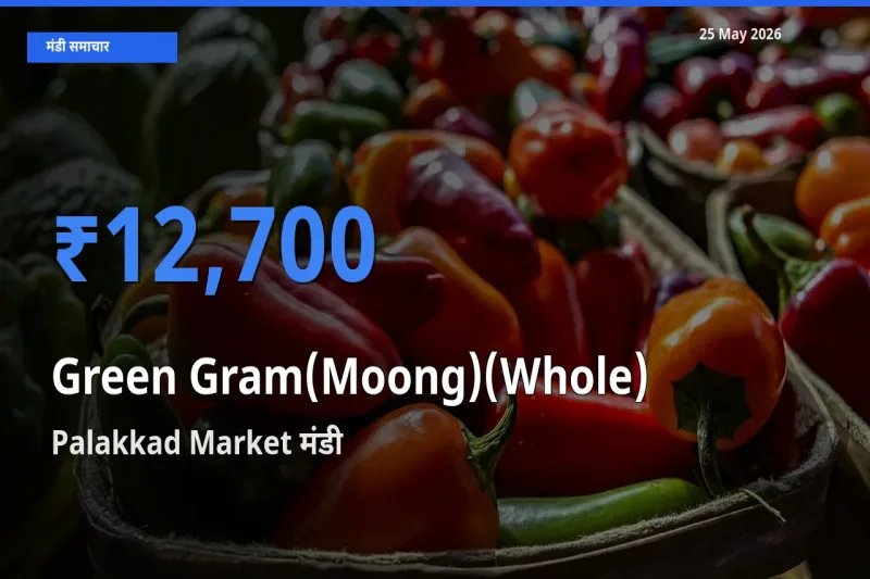 Palakkad Market मंडी में साबुत मूंग ₹12,700 पर पहुँचा – आज का सर्वोच्च भाव
