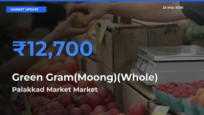 Palakkad Market Tops Green Gram(Moong)(Whole) Mandi Rates Today