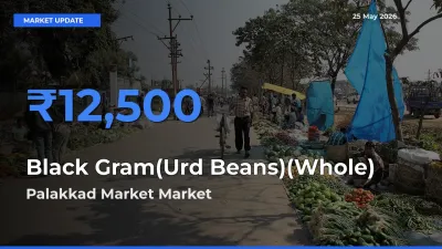Farmers Prefer Palakkad Market as Black Gram(Urd Beans)(Whole) Hits Highest Rate