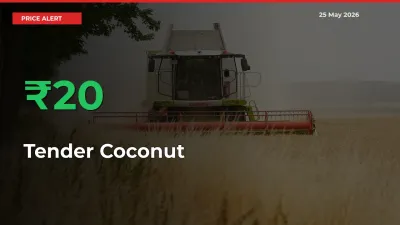 Farmers Cheer as Tender Coconut Prices Surge 20.46% in Local Mandis