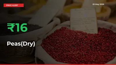Sudden 16.08% Rally in Peas(Dry) Prices Across Mandis