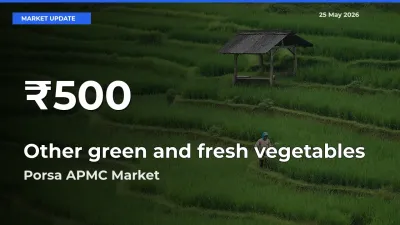 Why Other green and fresh vegetables Prices Slumped in Porsa APMC – 30-Day Low Today