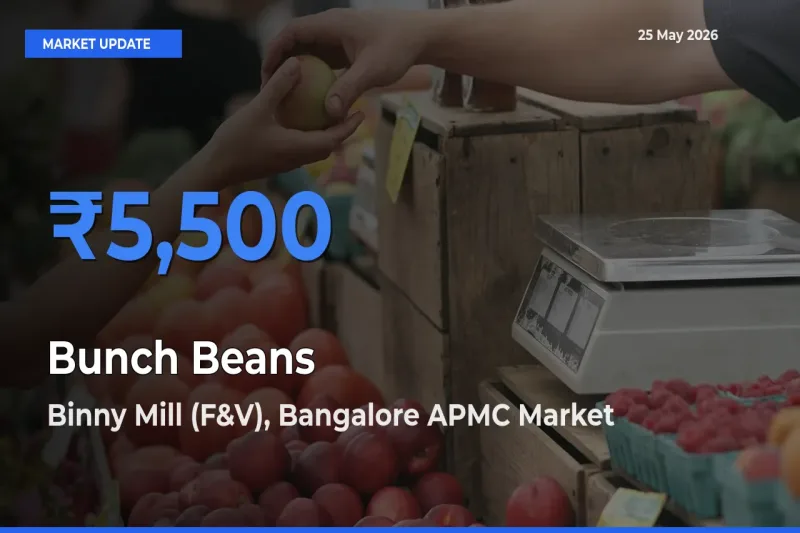 Binny Mill (F&V), Bangalore APMC Tops Bunch Beans Rates – May 25 Market Update