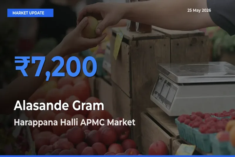Harappana Halli APMC Tops Alasande Gram Rates – May 25 Market Update