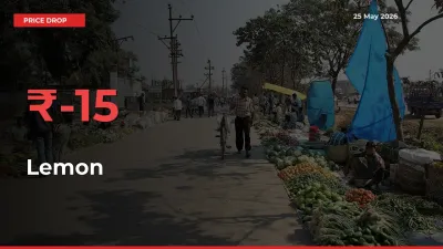 Lemon Prices Drop 15.02% in 24 Hours at Major Mandis