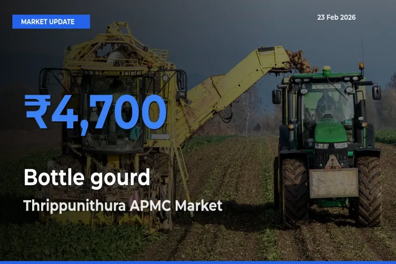 Thrippunithura APMC Emerges as Top Mandi for Bottle gourd Prices Today