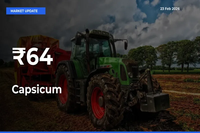Multi-Mandi Trend Emerges as Capsicum Prices Shift Across Key Markets