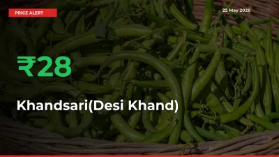 Big Rally! Khandsari(Desi Khand) Climbs 27.66% in 24 Hours at Top Mandis