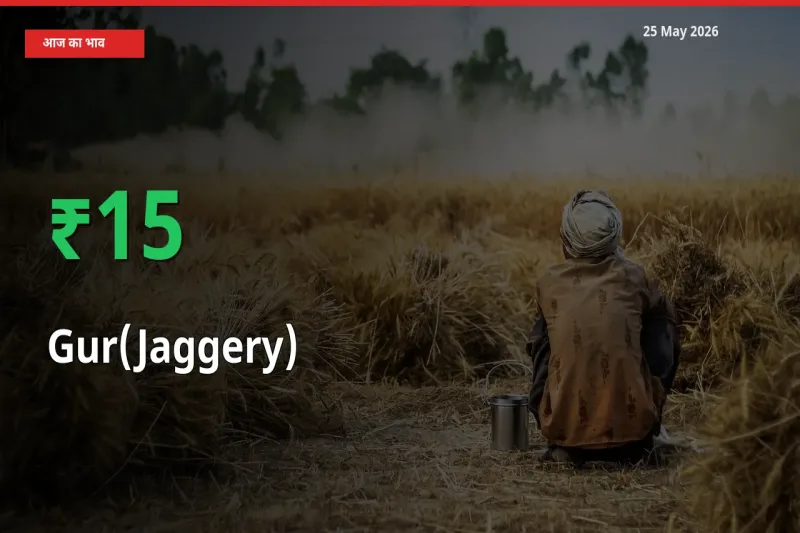 तेज़ तेजी! मंडी में गुड़ के दाम 15.33% चढ़े