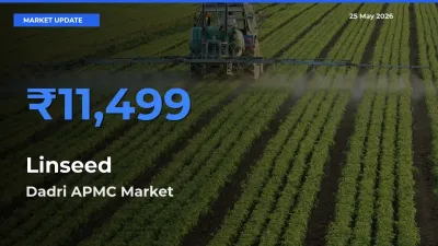 Dadri APMC Tops Linseed Mandi Rates Today
