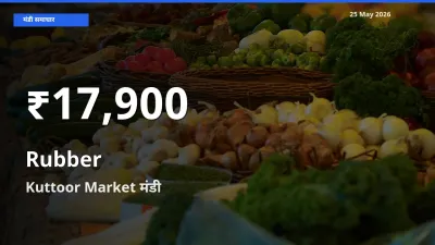 किसानों के लिए चिंता का विषय? रबड़ के दाम Kuttoor Market में 30 दिन के न्यूनतम स्तर पर