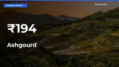 Ashgourd Prices Trend Across 194+ Mandis – Market Direction Turns Clear