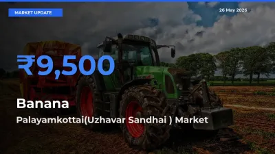 Farmers Prefer Palayamkottai(Uzhavar Sandhai ) as Banana Hits Highest Rate