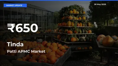 Tinda Hits 30-Day Low in Patti APMC