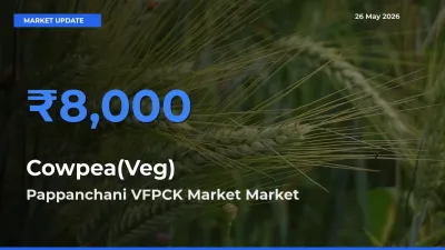 Pappanchani VFPCK Market Records Highest ₹8,000 Rate for Cowpea(Veg)