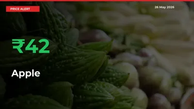 Sharp Jump! Apple Prices Climb 41.85% in 24 Hours at Key Mandis