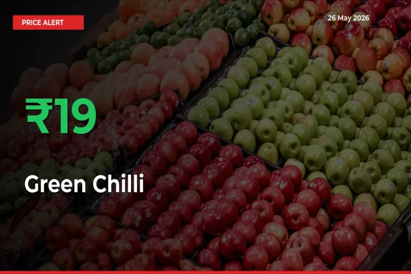 Green Chilli Prices Rise 19.23% in a Day at Major Mandis