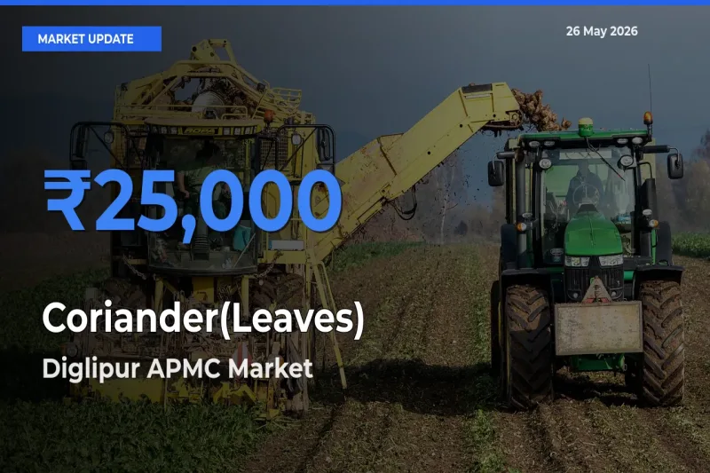 Diglipur APMC Tops Coriander(Leaves) Rates – May 26 Market Update