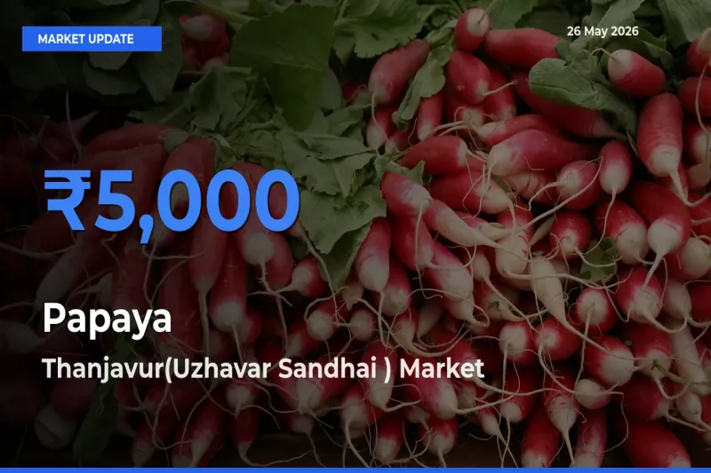Thanjavur(Uzhavar Sandhai ) Tops Papaya Mandi Rates Today
