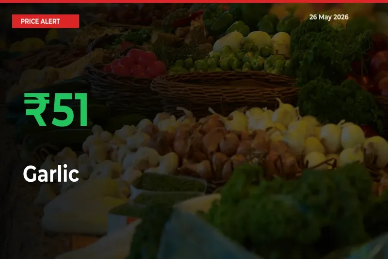 Farmers Cheer as Garlic Prices Surge 50.95% in Local Mandis