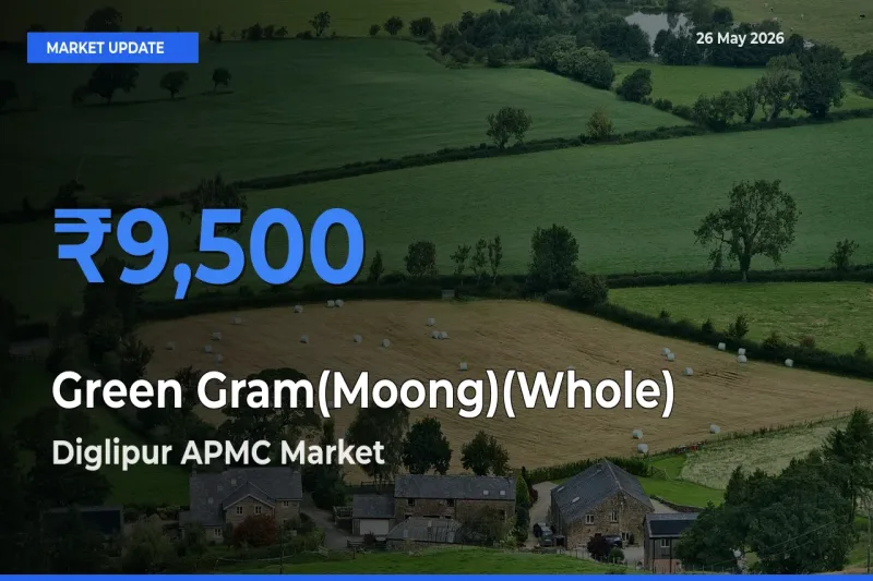 Diglipur APMC Leads as Top Mandi for Green Gram(Moong)(Whole) Prices